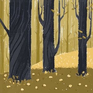 Meet your Posher, Liz